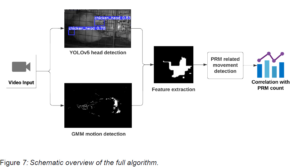 Overview of the hybrid algorithm for movement detection